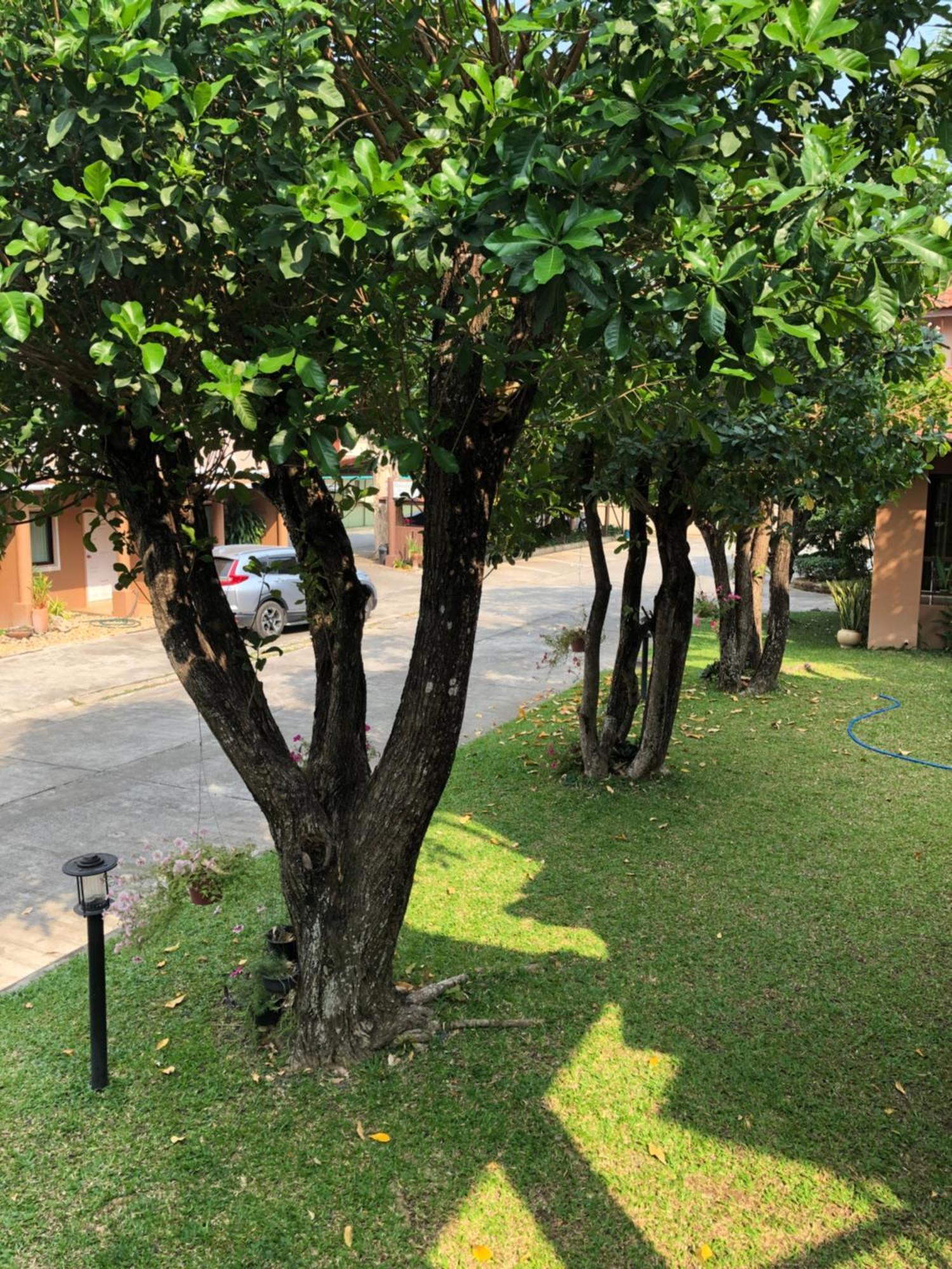 Areena Resort And Hotel Утрадит Екстериор снимка